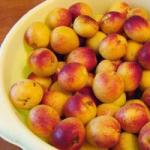 Консервация абрикосов на зиму: особенности, лучшие рецепты и рекомендации